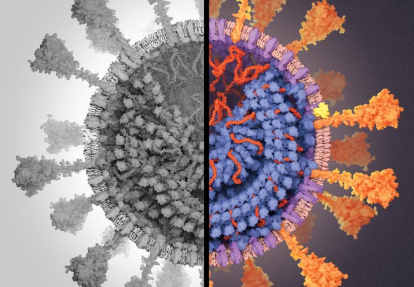 How I Built a 3-D Model of the Coronavirus for <em>Scientific American</em>