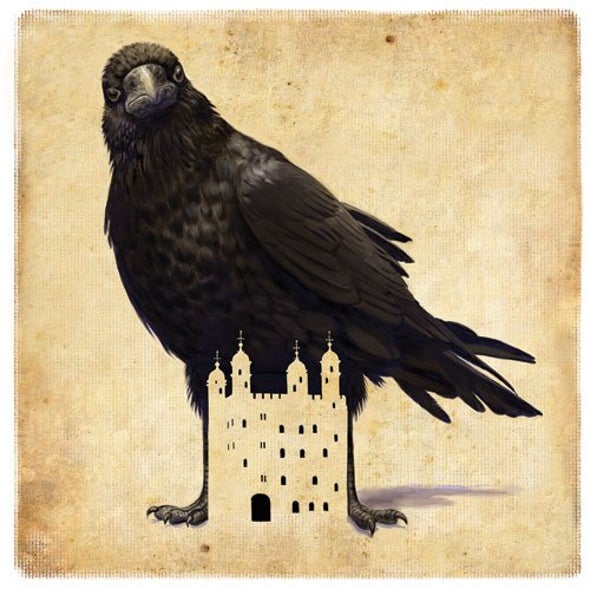 Ravens of the Tower