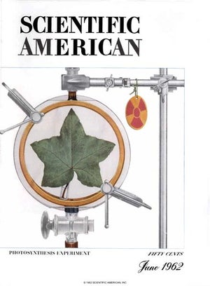Scientific American Magazine Vol 206 Issue 6