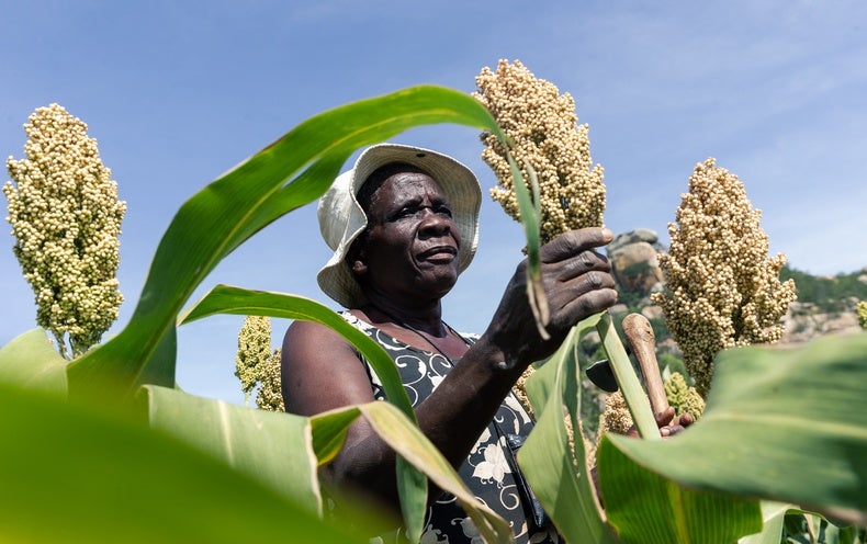 More African-Led Research on Adaptation Will Help the Continent Survive Climate ..