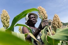 More African-Led Research on Adaptation Will Help the Continent Survive Climate Change