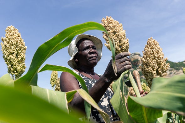 More African-Led Research on Adaptation Will Help the Continent Survive Climate Change