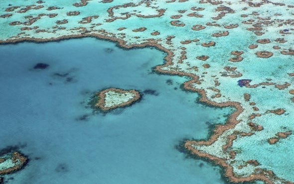 Coral Crisis: Great Barrier Reef Bleaching Is 