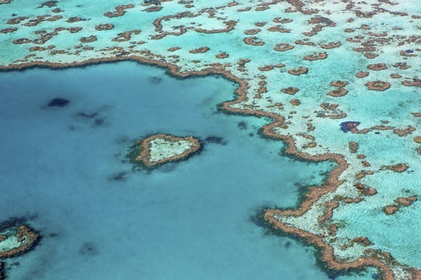 Coral Crisis: Great Barrier Reef Bleaching Is "The Worst We've Ever Seen"