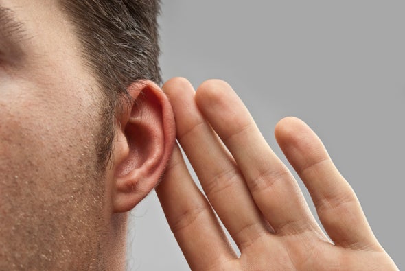 What Chickens Can Teach Hearing Researchers