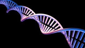 4 New DNA Letters Double Life's Alphabet