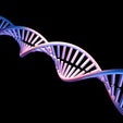 Four New DNA Letters Double Life's Alphabet