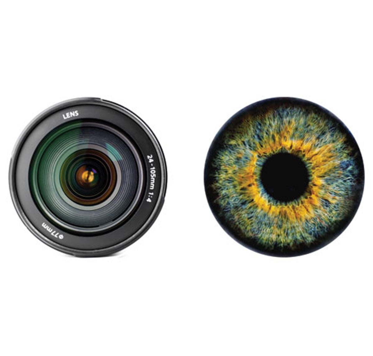 Designing Cameras That Work Like Eyes | Scientific American