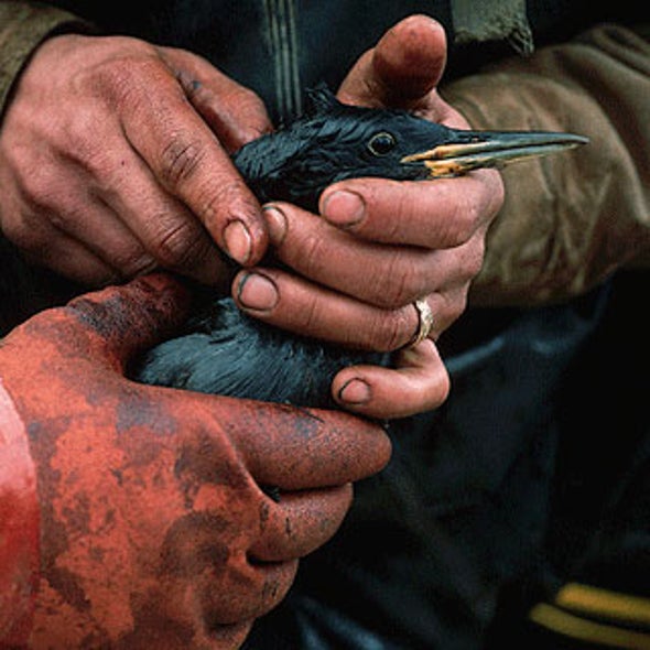 Prince William Sound and Fury: Oil Giant Dodges Punitive Damages for Valdez Spill