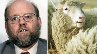 Dolly at 20: The Inside Story on the World's Most Famous Sheep