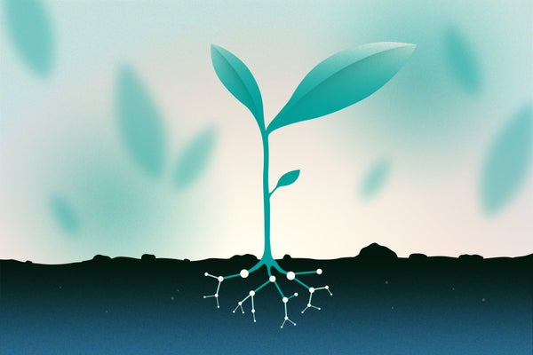 Illustration of plant growing