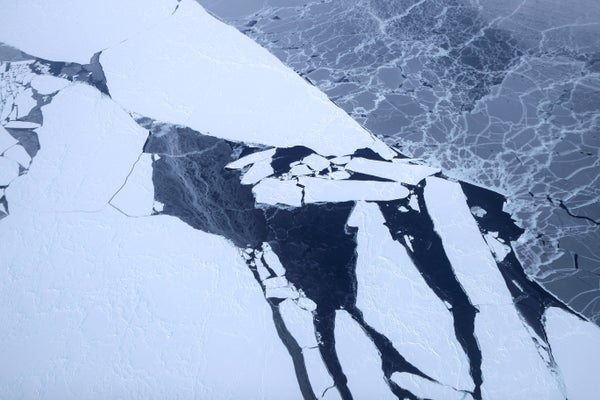 Aerial view of cracked and melting sea ice.
