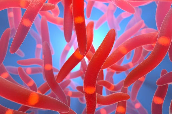 Red Fusobacterium (rod-shaped) bacteria, long and tapered at both ends on blue background