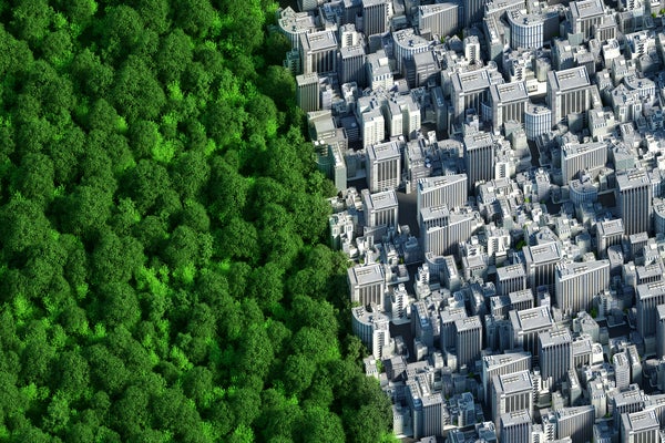 Digital generated image of two semi spheres connected together in one planet. Left part covered by trees against right part fully urban and covered by buildings