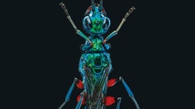 How a Wasp Turns Cockroaches into Zombies