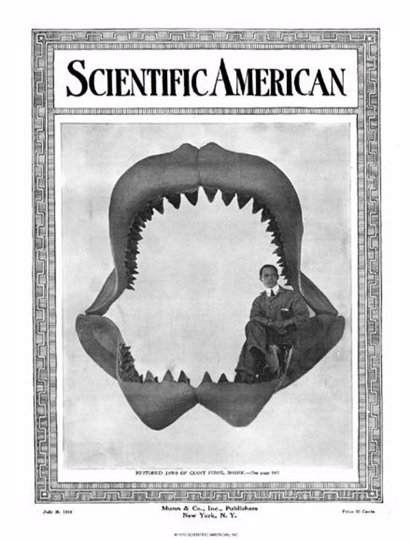 Scientific American Magazine Vol 115 Issue 5