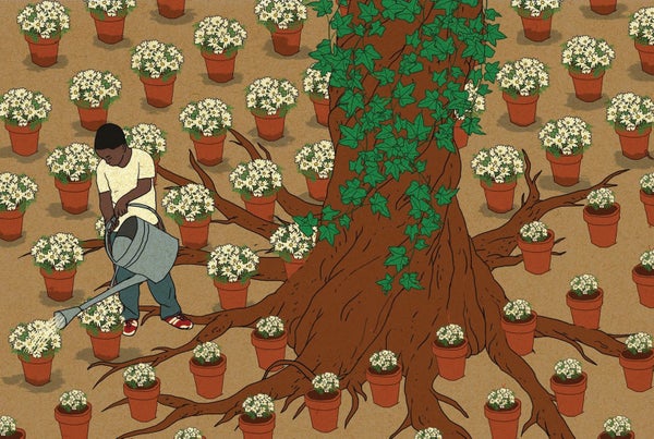 Illustration of a young boy watering many pots of flowers around a large tree.