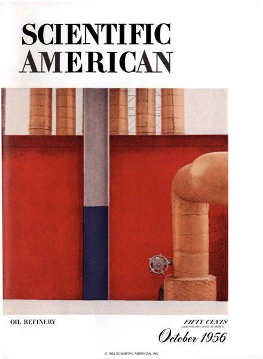 The Language of Birds | Scientific American