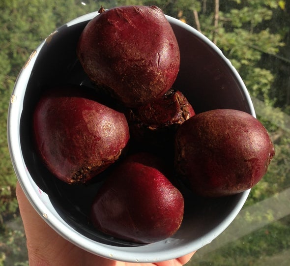 Beet Juice Could Help Body Beat Altitude