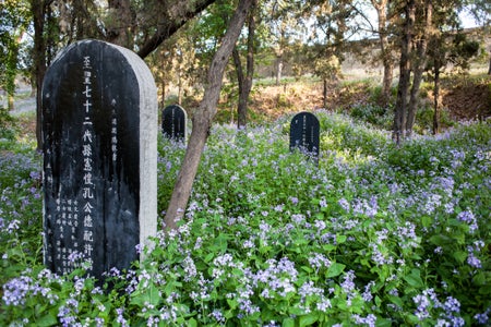 A view of the graves in Qufu, Shandong Province, China.