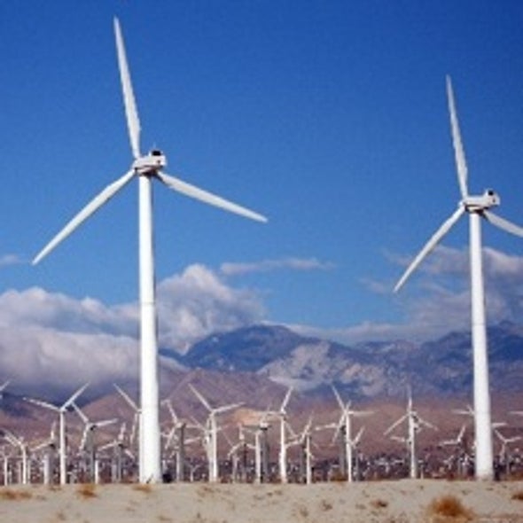 Can the Green Economy Survive in a Policy Vacuum?