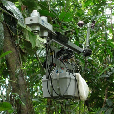 Rainforest Climate Change Sensor Station Goes Wi-Fi