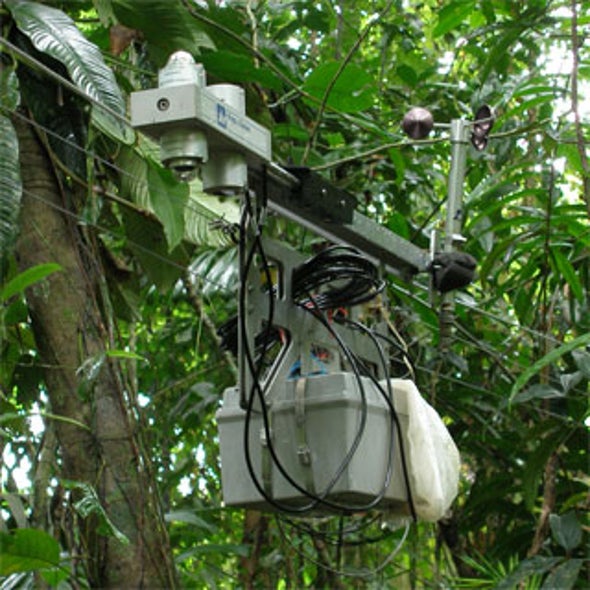 Rainforest Climate Change Sensor Station Goes Wi-Fi