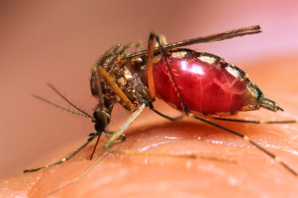 Bug Bite Saliva Hijacks Immune Cells to Spread Virus
