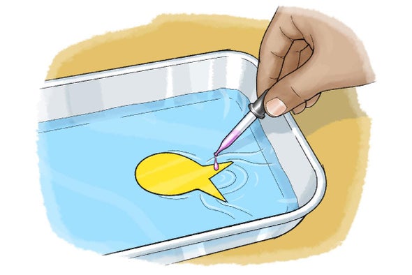 Make a Paper Fish Swim with Surface Tension