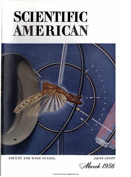 Books | Scientific American