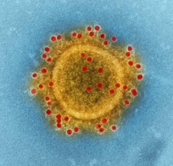 MERS Outbreak in South Korea Deemed Not to Be a Global Threat