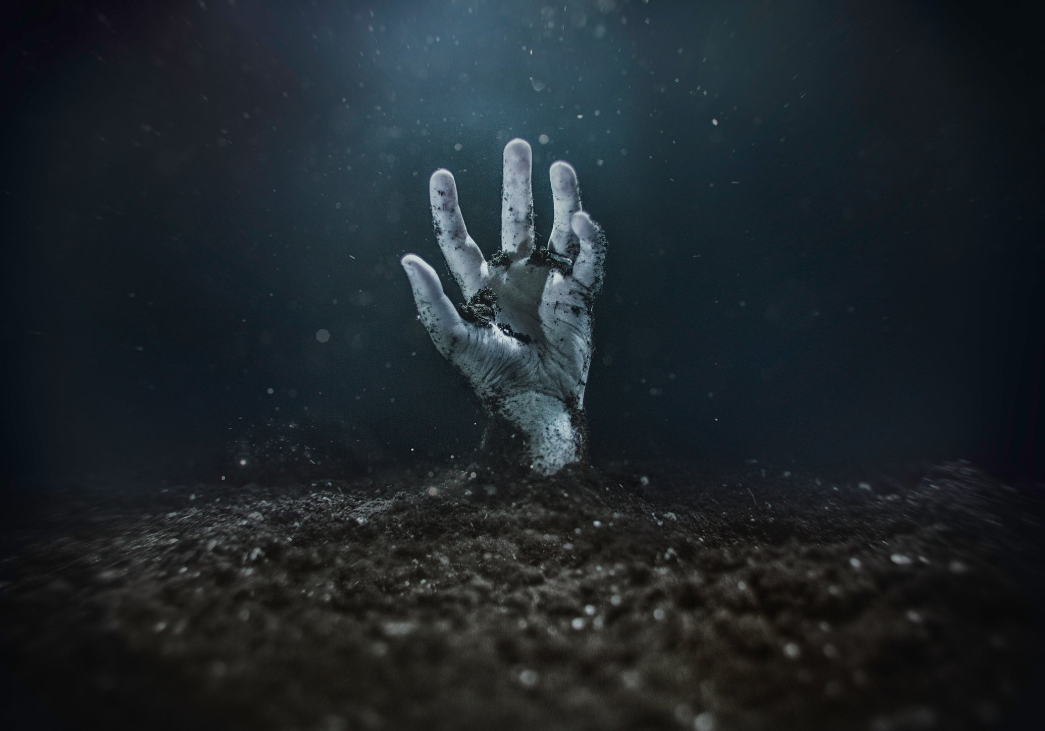 Real-Life Zombies - Scientific American