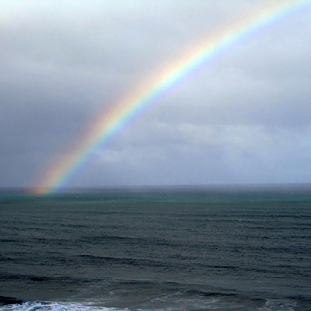 Tiny Ocean Plants Geoengineer Brighter Clouds | Scientific American