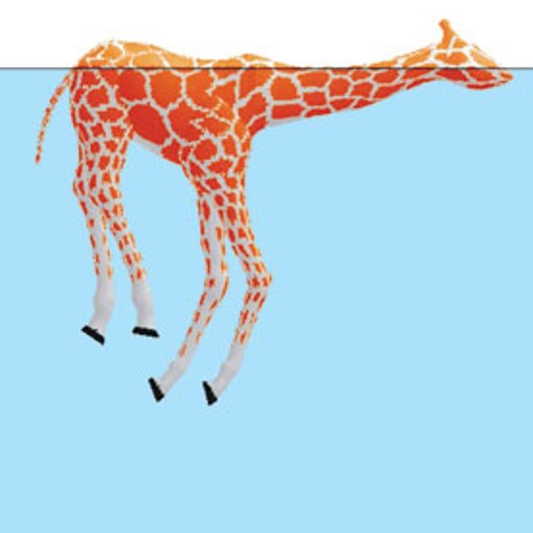 Do Giraffes Float?