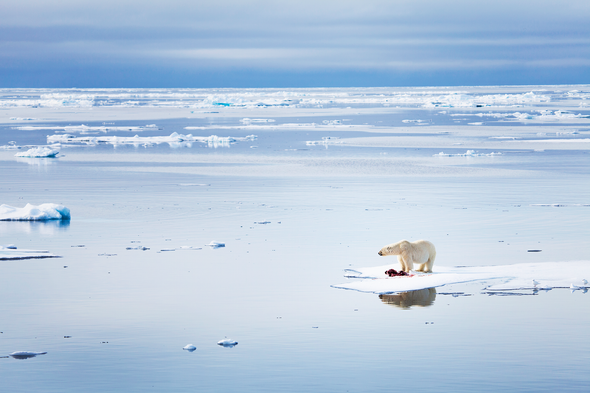 2018 Was the 4th Warmest Year on Record, Berkeley Group Announces