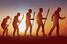 Our Evolutionary Past Can Teach Us about AI's Future