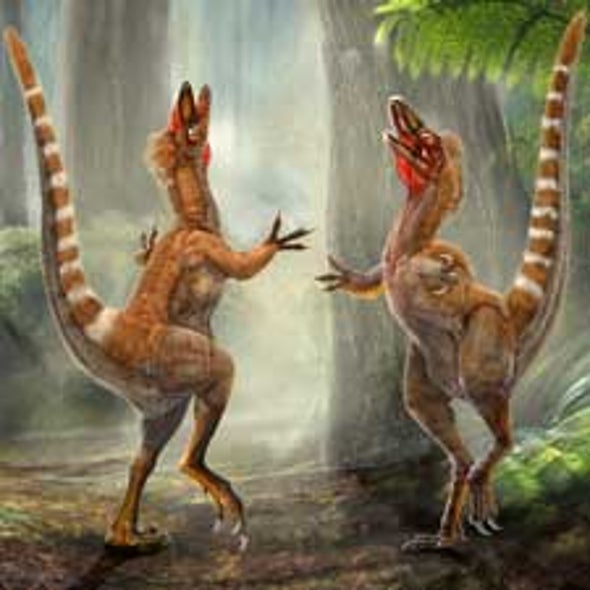 Colorizing Dinosaurs: Feather Pigments Reveal Appearance of Extinct Animals