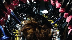 Neuroscientists Illuminate Role Of >> Neuroscience Scientific American Neuroscientists Illuminate Role Of >> Neuroscience Scientific American