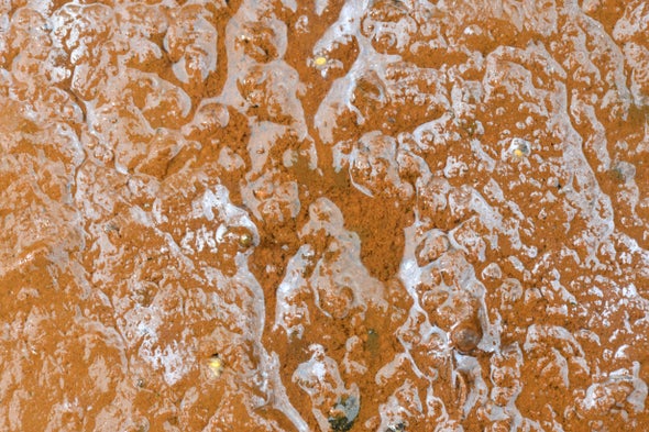 Ancient Rock Art Got a Boost From Bacteria