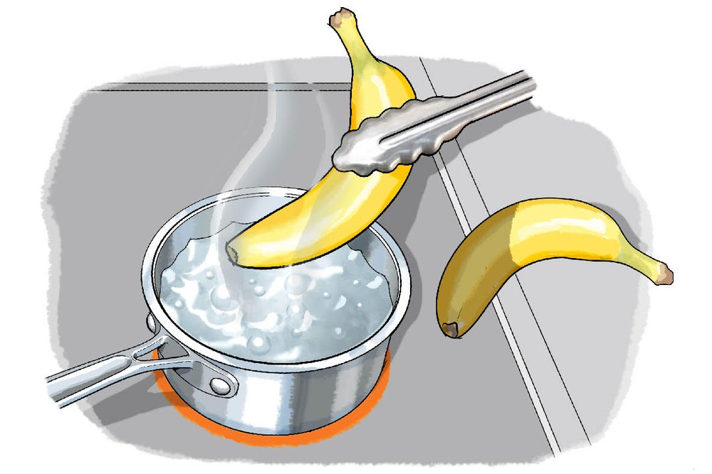 Fruits Gone Bad? Discover Enzymatic Browning | Scientific American