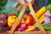 Scientific American Organic Food Myths Scientific American Organic Food Myths
