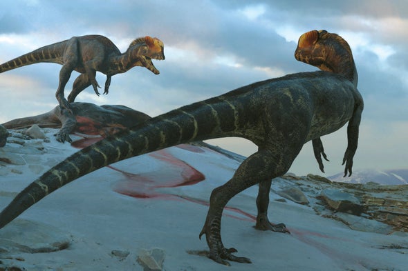 The Real Dilophosaurus Would Have Eaten the Jurassic Park Version for Breakfast
