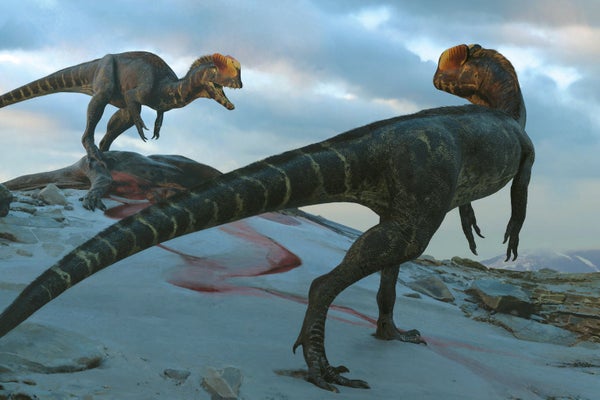 Dilophosaurus illustration