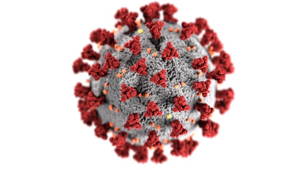 What Science Has Learned about the Coronavirus One Year On