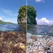 Reef in American Samoa