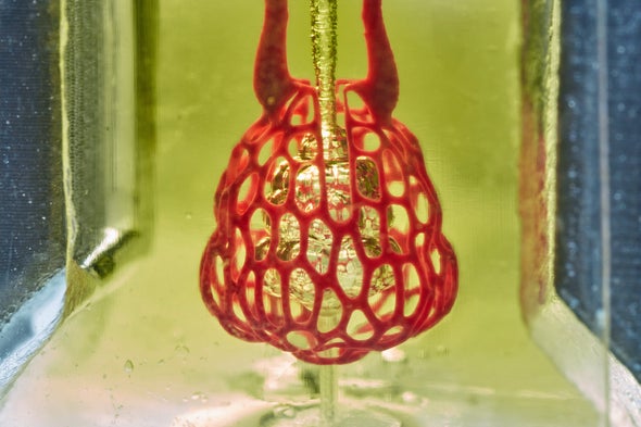 Can 3-D Printing Produce Lung and Liver Tissue for Transplants?
