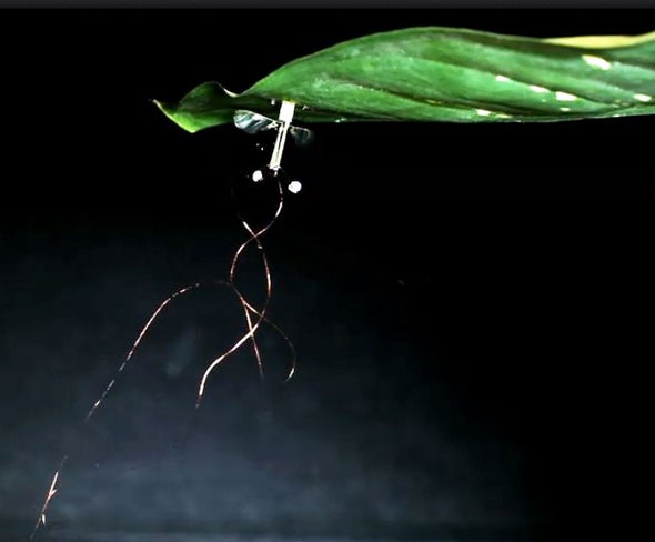 Flying Mini Robots Can Cling to Your Window [Video]