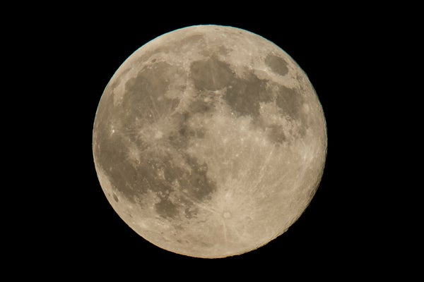 The full moon illuminated in the night sky