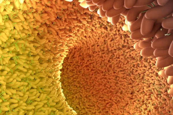 Colorful microbiota in a human intestine.