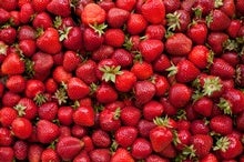 Strawberries Have 8 Sets of Chromosomes to Thank for Their Survival